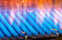 Shelfanger gas fired boilers