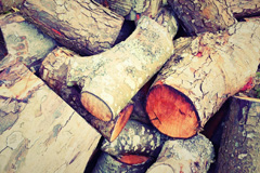 Shelfanger wood burning boiler costs